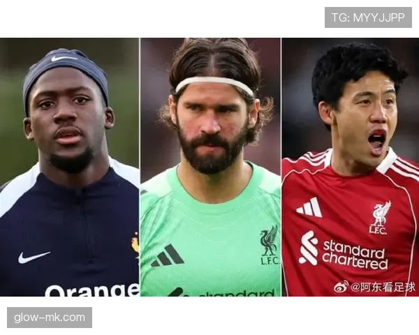 阿利松今日最新消息:伤情更新与复出时间